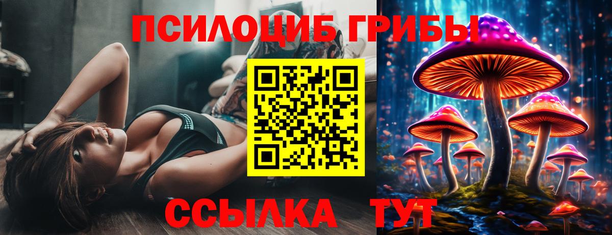 Галлюциногенные грибы мицелий  Вход с VPN  где купить наркоту  Троицк 